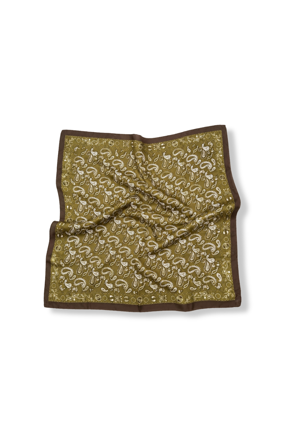 Sagebrush Paisley Scarf