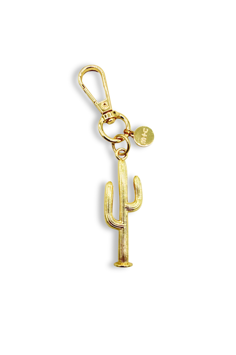 Cactus Charm